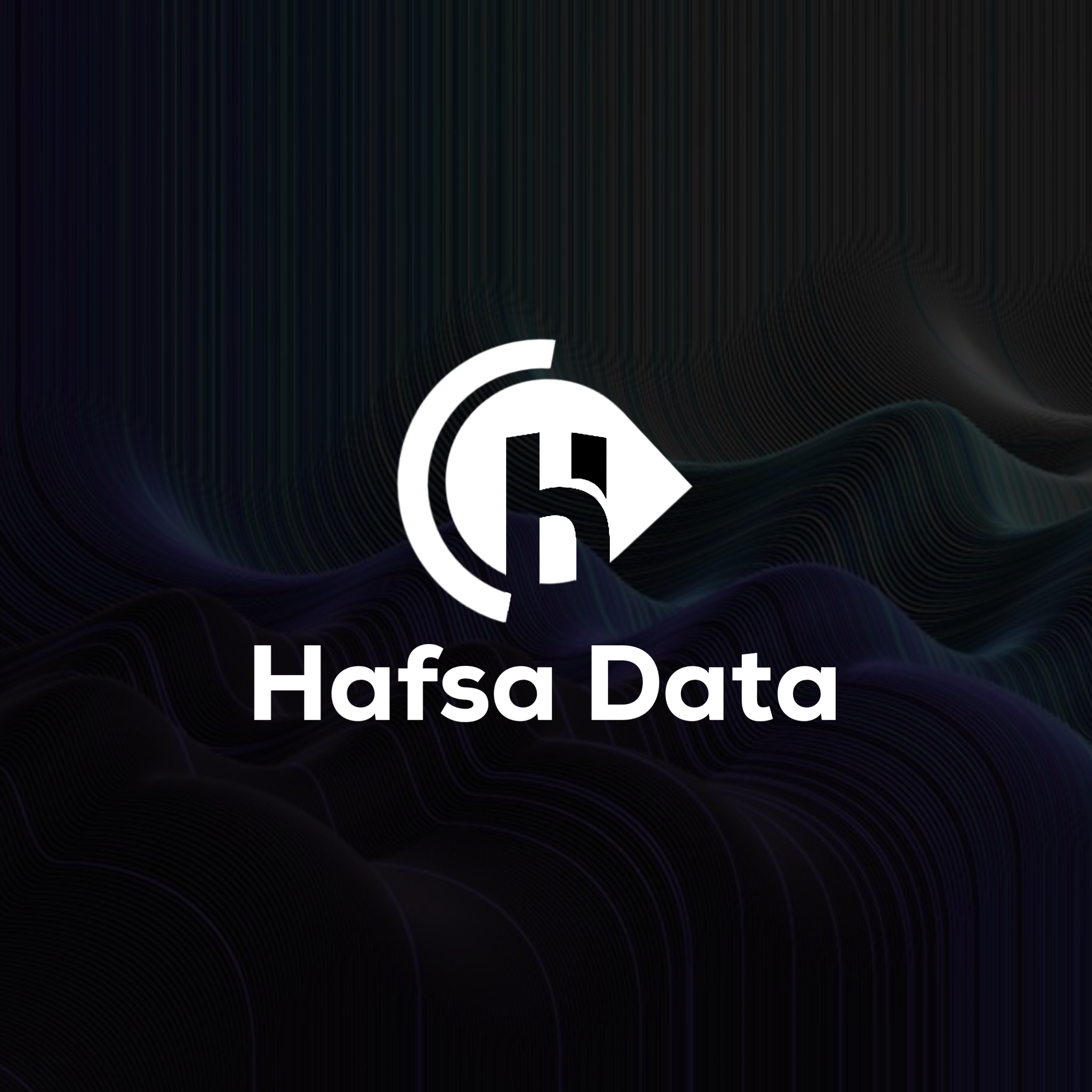 Hafsa Data Group